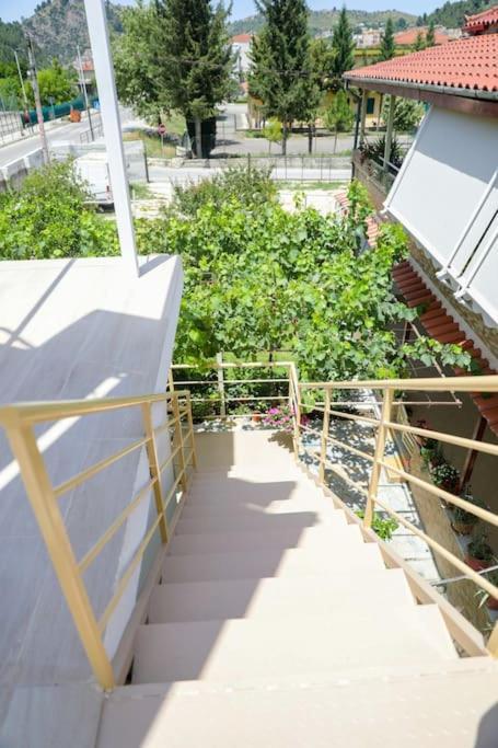 Cereni Guesthouse 培拉特 外观 照片