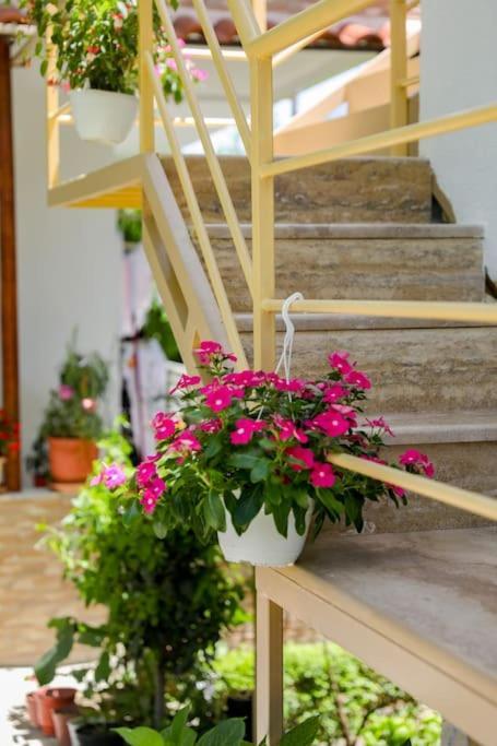 Cereni Guesthouse 培拉特 外观 照片