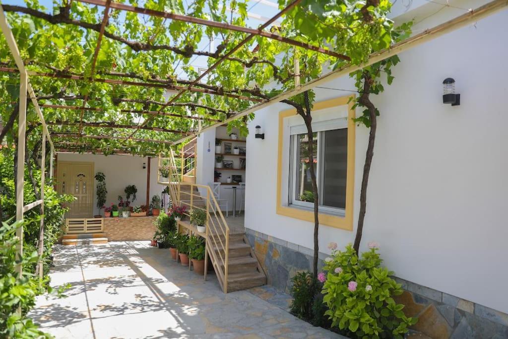 Cereni Guesthouse 培拉特 外观 照片